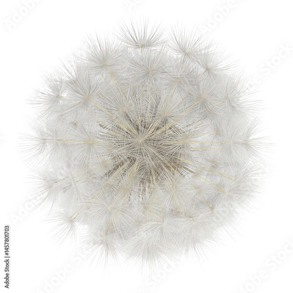 Fototapeta Detailed Close-Up of a Mature Dandelion Seed