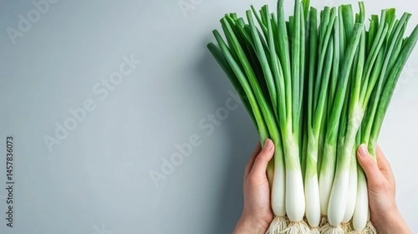 Fototapeta Fresh green onions held in hand on minimal background