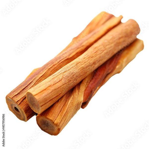 Fototapeta Natural Dog Chews: Long-Lasting Wood Sticks for Happy Pets