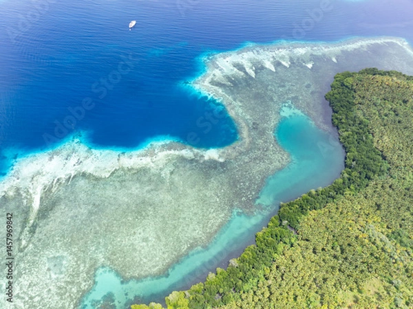 Obraz Healthy coral reefs fringe the idyllic islands of Garacie, near Halmahera, Indonesia. This scenic, biodiverse area lies between Sulawesi and Raja Ampat. It is a destination for divers and snorkelers.
