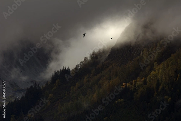 Obraz Dramatic Silhouette of Eagles in Vast Alaska Wilderness