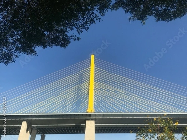 Obraz bridge over the river