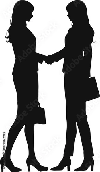 Fototapeta Silhouette of two professionals shaking hands, symbolizing agreement, partnership, and business collaboration.