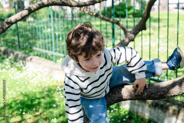 Fototapeta Child climbing a tree in a sunny park