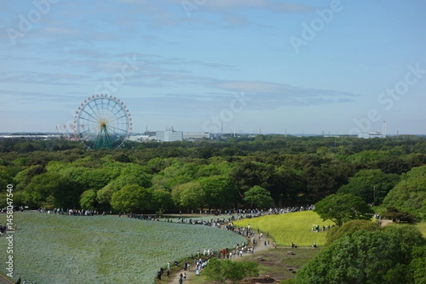 Obraz 国営ひたち海浜公園