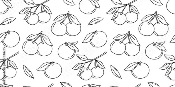 Fototapeta Seamless pattern with hand drawn sketch of tangerine or orange fruit with leaves. Vector isolated illustrations on white. Engraved style.
