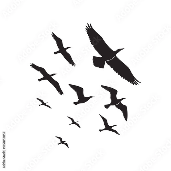 Obraz Flying birds silhouette black vector illustration, multiple birds in flight, perfect for nature, wildlife