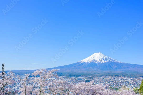 Obraz 富士山と桜
