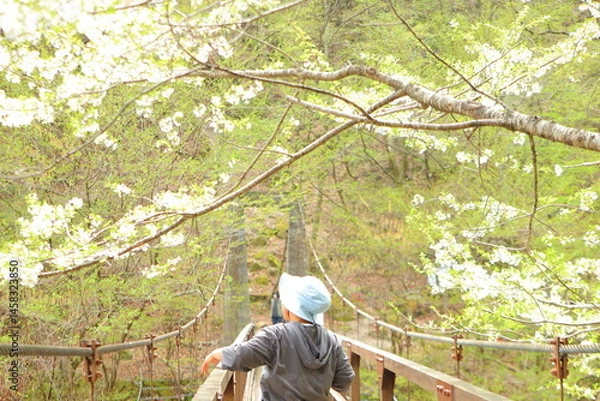 Obraz 新しい旅に向かう女性 吊り橋と山の風景、挑戦と出会いのイメージ