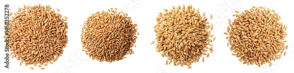 Fototapeta Assortment of various whole grain cereal grains