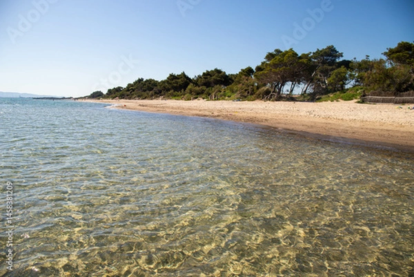 Obraz Panoramic view of the beautiful  Torre Mozza beach in Piombino, Tuscany, with crystal clear water. 