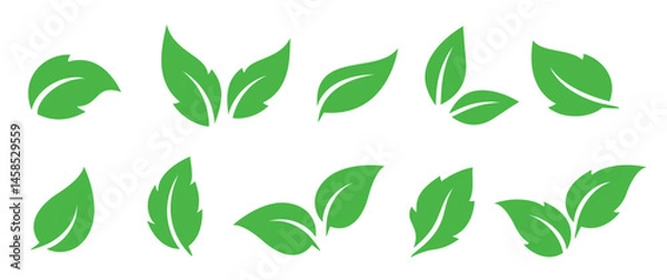 Obraz Green leaves vector set icons