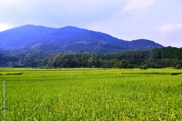 Fototapeta 田染荘