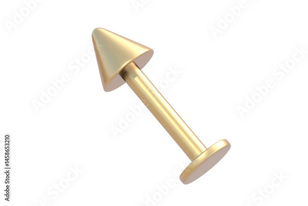 Fototapeta Golden piercing jewelry isolated on white background. 3d render