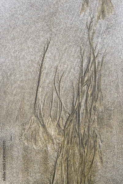 Fototapeta Abstract interpretation of the shapes drawn by the tide in the sand of a beach
