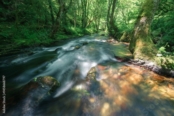 Fototapeta Straight stretch between forests and transparent waters in a mountain river