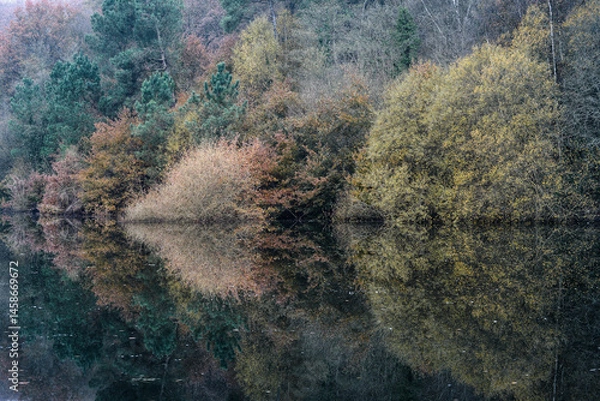 Fototapeta The calm waters of the Minho River create symmetrical patterns with the autumn foliage