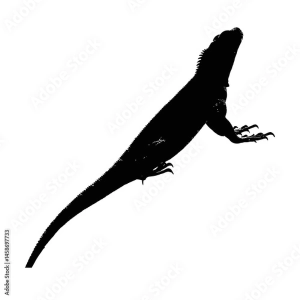 Fototapeta Solid black silhouette of an iguana basking, Vector Graphic