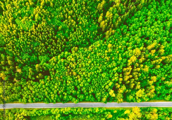 Obraz Highway aerial view. Road through forest with green trees, drone view. Forest road. Aerial above view of freeway in trip. Asphalt road, top view. Aerial Freeway, Trip on road. Green background nature.