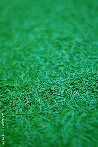 Obraz Spruce needles background. Background of a pile of spruce needles close-up. Carpet of many spruce needles. Pattern of green coniferous needles, top view. Vertical photo. Soft focus, grain occur.