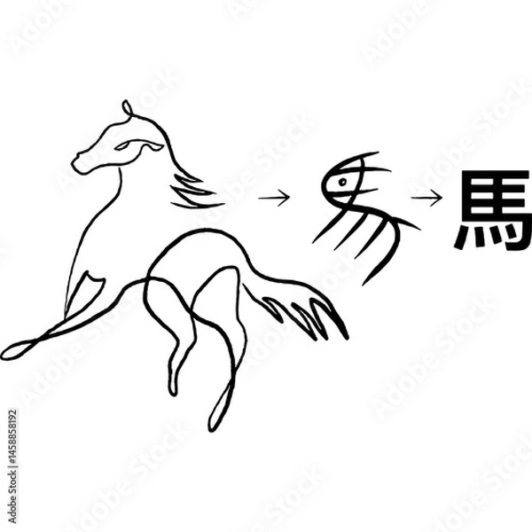 Fototapeta Illustration showing the evolution of the horse symbol from ancient pictograph to modern Chinese character, featuring a minimalist horse line drawing and historical script transformation.