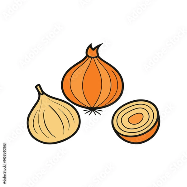 Obraz Onion line art vegetable vector illustration