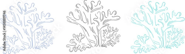 Fototapeta Set of hand drawn coral in three color variations. Minimalist line art. Design elements. Vector flat illustration