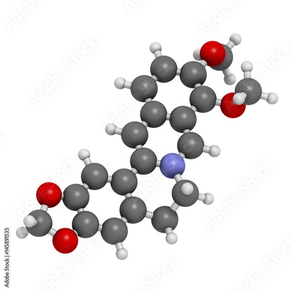 Fototapeta Berberine herbal medicine molecule. 3D rendering. Atoms are represented as spheres with conventional color coding: hydrogen (white), carbon (grey), nitrogen (blue), oxygen (red).