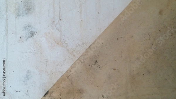Obraz Part of the wallpaper has peeled off from the white wall. Wall and wallpaper with small traces of fungus