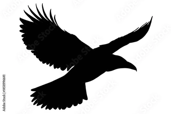 Fototapeta Powerful silhouette of a raven mid-flight — perfect for dark fantasy art, horror branding, or symbolic editorial designs
