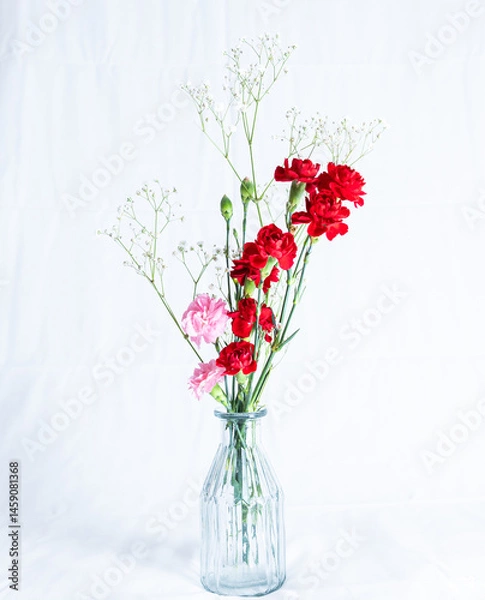 Obraz カーネーション