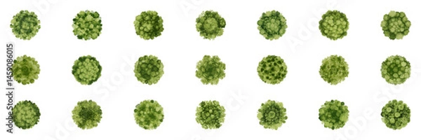 Obraz Set of Green Watercolor Trees Seen from Top View. Eco Landscape Planning, Architectural Urban Garden Maps. Isolated Vector Illustration