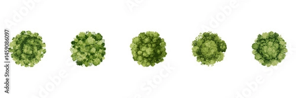 Obraz Top View Trees in Watercolor Style for Landscape Architecture and Urban Mapping. Eco-Friendly Canopy Assets for Garden Planning. Isolated Vector Illustration