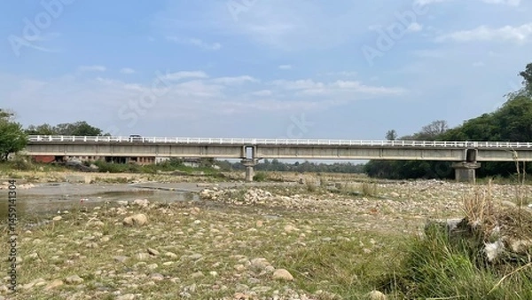 Obraz sheep on the river