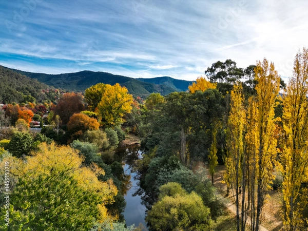Obraz Stunning aerial photo of Bright, VIC,  Australia during fall season. Vibrant autumn leaves in red, orange, and yellow surround the peaceful river and town, set against a backdrop of green mountains
