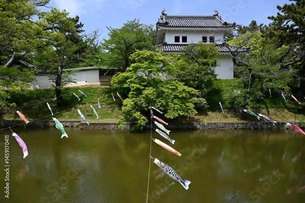 Fototapeta 茨城県の土浦城（亀城）こどもの日の鯉のぼりの風景。