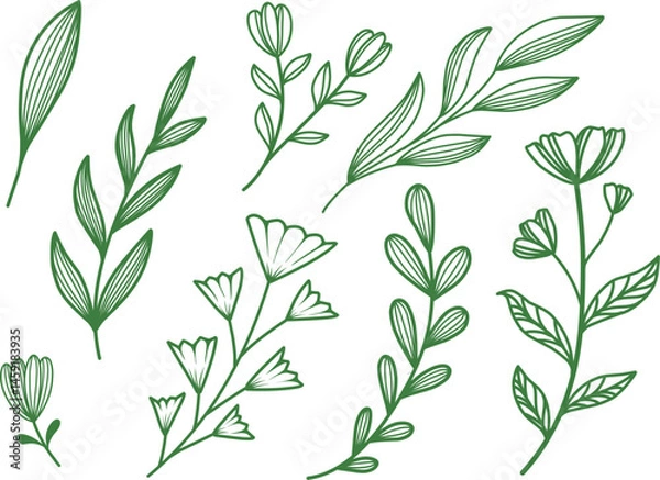 Fototapeta Minimalist hand drawn botanical lineart, green leaves lineart, floral element ilustration, leaf graphic element