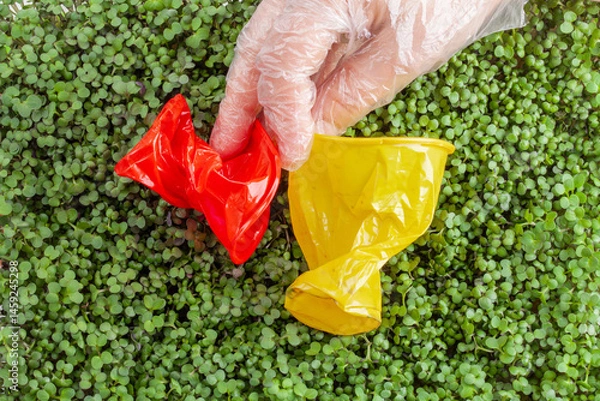 Fototapeta Hand holding two crumpled plastic cups on The background is filled with small, green sprouts. Plastic waste against a background of green plants - environmental pollution. Garbage collection process