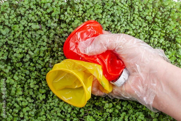 Fototapeta Hand holding two crumpled plastic cups on The background is filled with small, green sprouts. Plastic waste against a background of green plants - environmental pollution. Garbage collection process