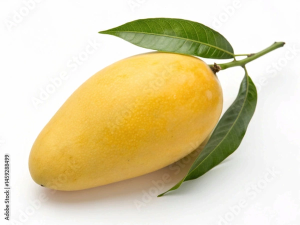 Fototapeta Single bright yellow tropical mango with stem and leaves, isolated against a plain white background