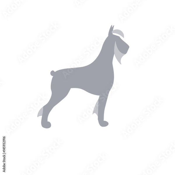 Fototapeta Giant Schnauzer dog vector isolated illustration sign