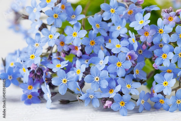 Obraz Bouquet of forget me not flowers on the table closeup on a white wooden background. Beautiful card
