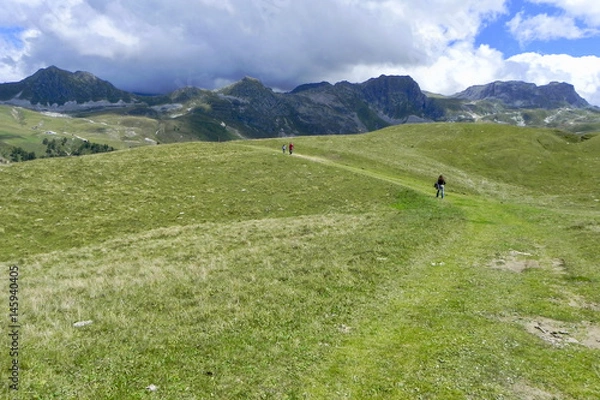 Obraz The French Alps