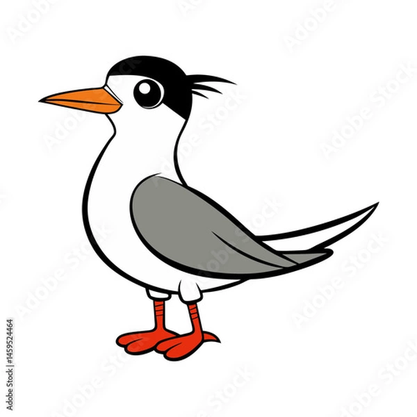 Fototapeta Download Tern Bird Vector Art Illustration Eps File For Design.