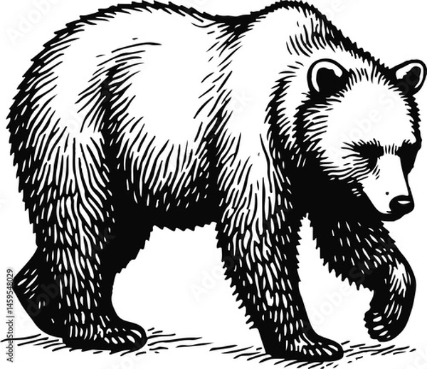 Obraz Vector Illustration of a Powerful Bear Silhouette in a Walking Pose, Symbolizing Strength, Wilderness, and Nature for Wildlife and Adventure Themes