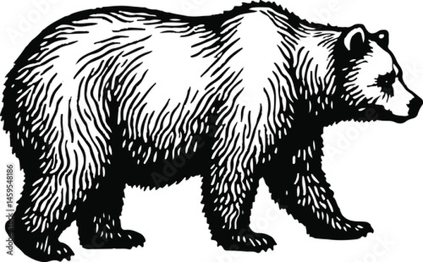 Obraz Vector Illustration of a Powerful Bear Silhouette in a Walking Pose, Symbolizing Strength, Wilderness, and Nature for Wildlife and Adventure Themes