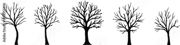Obraz Vector Illustration of Five Bare Trees in Winter with Unique Shapes and Sizes for Seasonal, Nature, and Environmental Design Projects