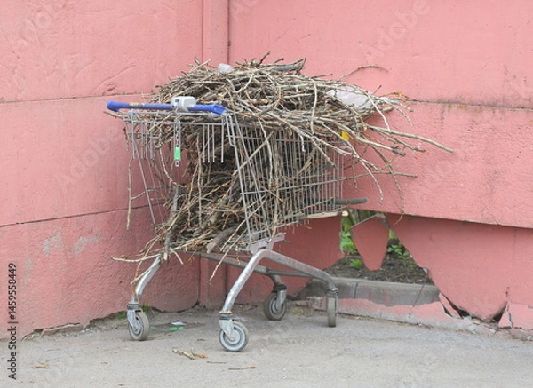 Fototapeta A metal supermarket cart filled with cut branches stands in the corner of the pink fence of the waste place