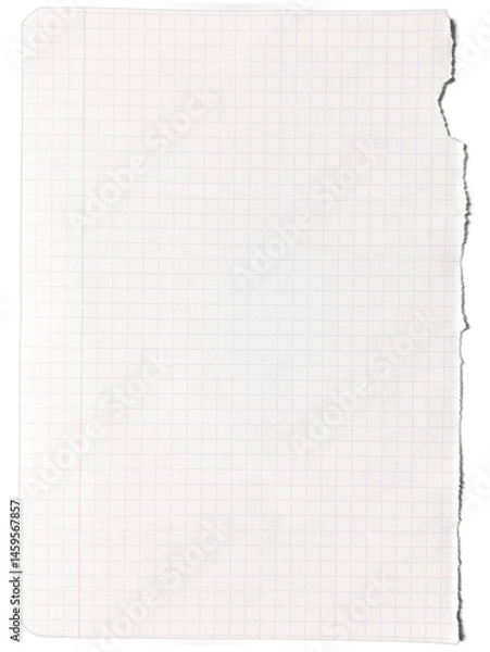 Fototapeta Torn Grid Paper: A close-up shot of a torn sheet of grid paper, the edges showing the texture of the paper. The grid lines provide a framework for precise work.	
