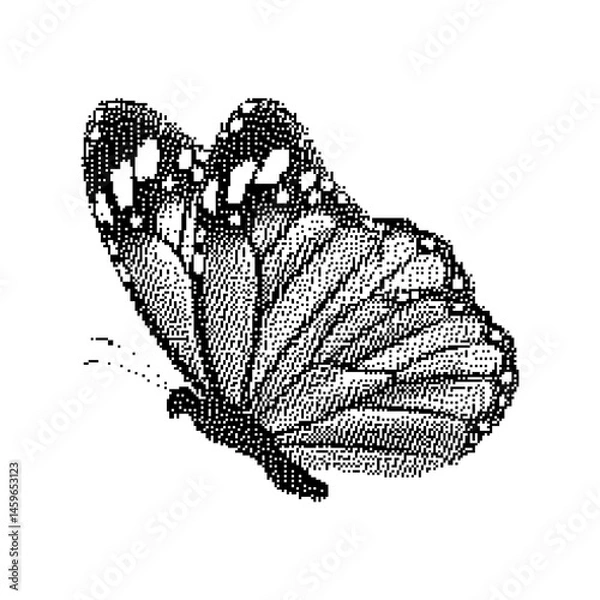 Obraz Pixel art butterfly. Animal vector illustration.